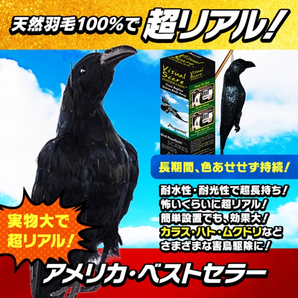 New防鳥クローン・カラス(VS102)】【天然羽毛・実物大で超リアル!】カラス烏からす /ハト鳩はと/ムクドリ椋鳥むくどり/ヒヨドリ(ひよどり)/雀スズメ/燕ツバメつばめ等を駆除/退治/撃退/対策!  ,最新型ペストコントロ・デラックス（最強力タイプ） | 害獣・害鳥対策の超音波 ...