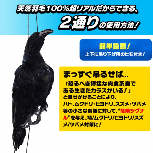 New防鳥クローン・カラス(VS102)】【天然羽毛・実物大で超リアル!】カラス烏からす/ハト鳩はと/ムクドリ椋鳥むくどり/ヒヨドリ(ひよどり)/雀スズメ/燕ツバメつばめ等を駆除/退治/撃退/対策!  ,最新型ペストコントロ・デラックス（最強力タイプ） | 害獣・害鳥対策の超音波 ...