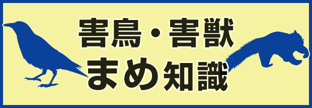 害鳥・害獣まめ知識