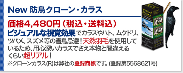 New防鳥クローン・カラス　価格4,480円(税込・送料込)ビジュアルな視覚効果でカラスやハト、ムクドリ、ツバメ、スズメ等の害鳥忌避！鴨やガチョウ等の水鳥の天然羽毛を使用しているため、用心深いカラスでさえ本物と間違えるくらい超リアル！※クローンカラス(R)は弊社の登録商標です。(登録第5568621号)