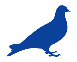 ハト（鳩）