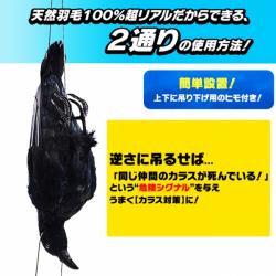 New防鳥クローン カラス Vs102 天然羽毛 実物大で超リアル カラス烏からす ハト鳩はと ムクドリ椋鳥むくどり ヒヨドリ ひよどり 雀スズメ 燕ツバメつばめ等を駆除 退治 撃退 対策 最新型ペストコントロ デラックス 最強力タイプ 害獣 害鳥対策の超音波